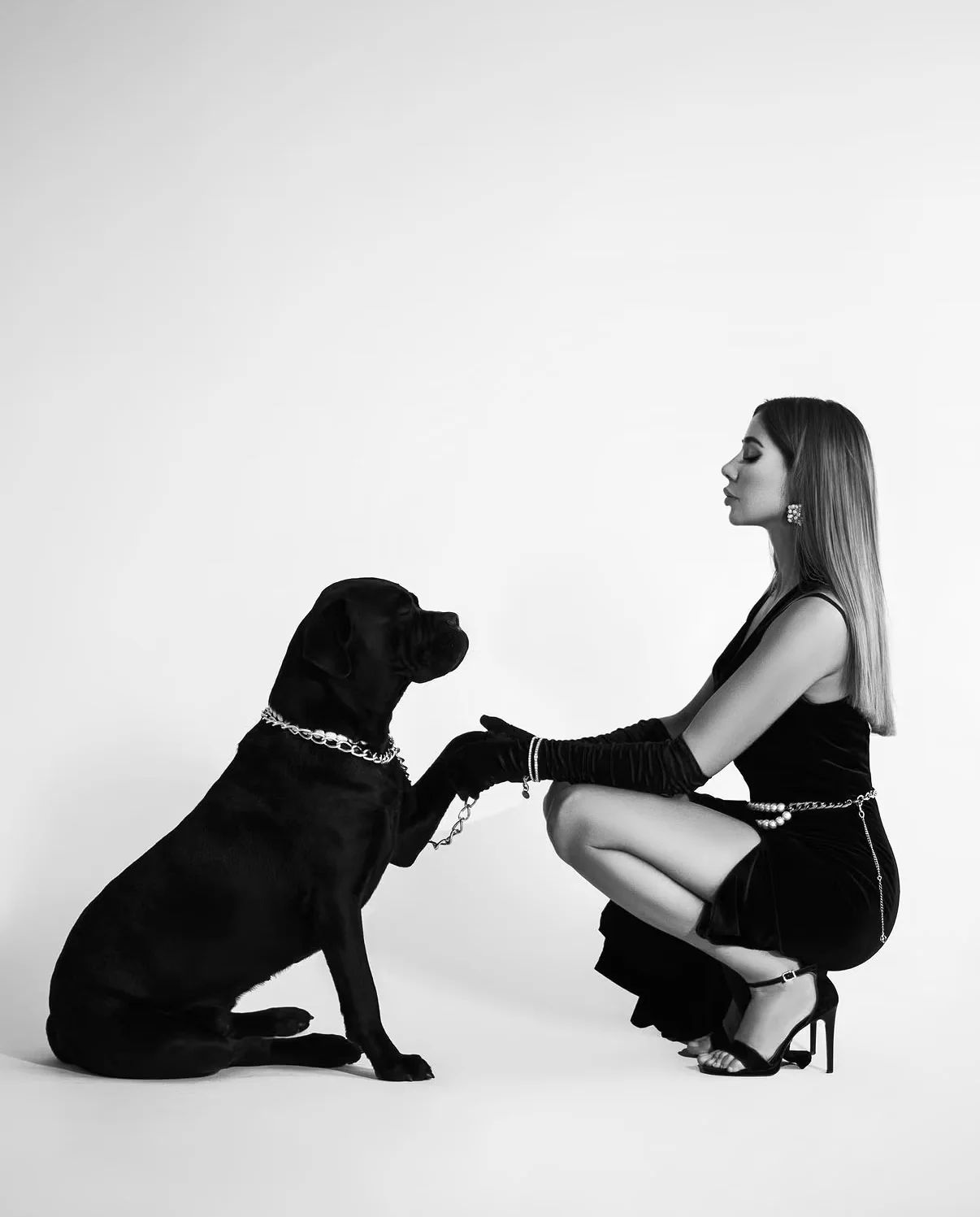 Black and white studio fashion editorial with a large dog, photographed by Mariya Harley